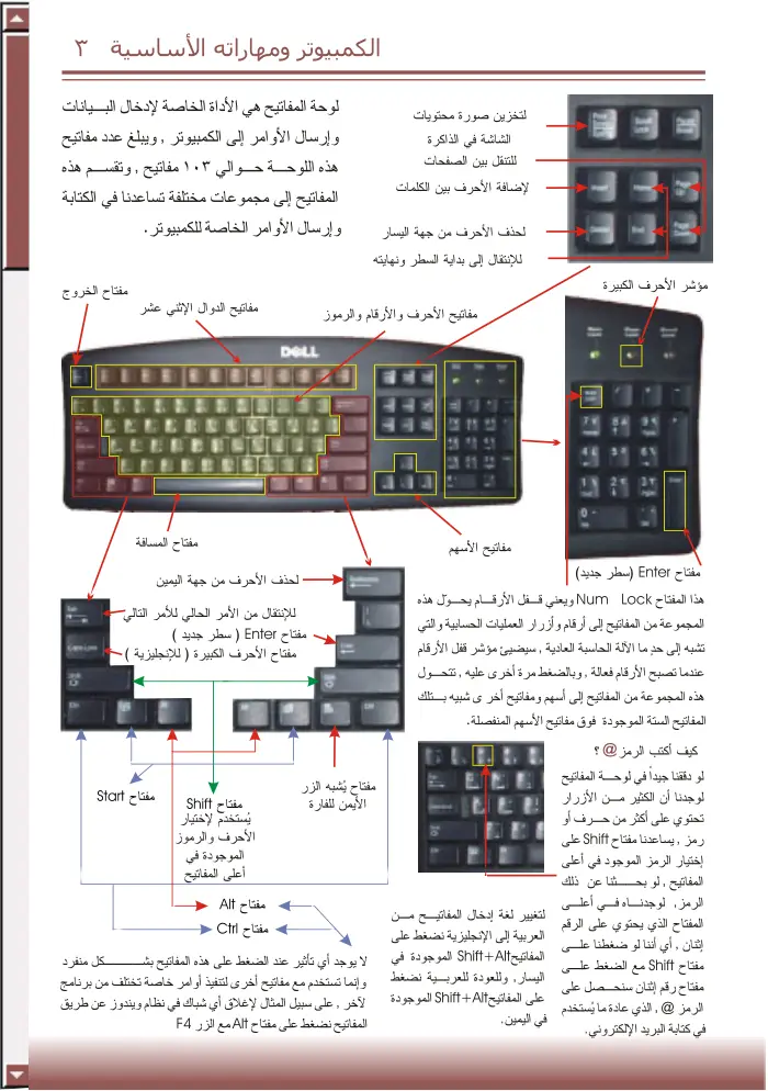 صفحة 8